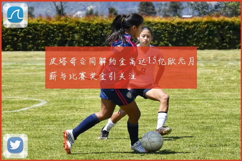 皮塔奇合同解约金高达15亿欧元月薪与比赛奖金引关注