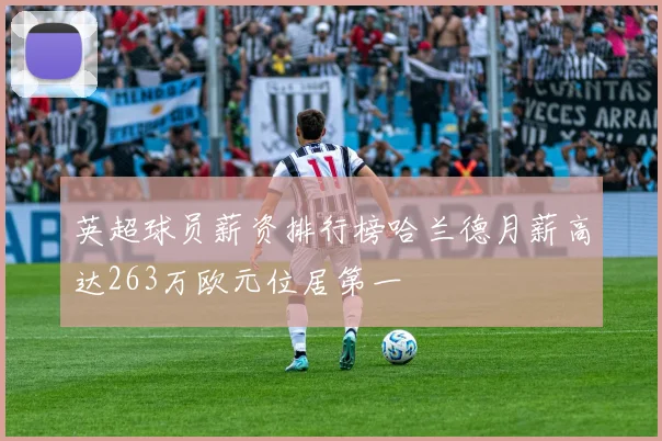 英超球员薪资排行榜哈兰德月薪高达263万欧元位居第一